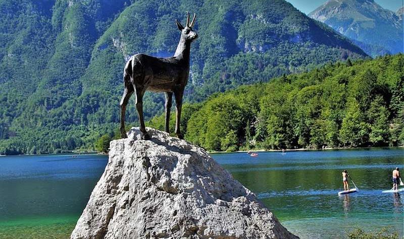 bohinj apartma